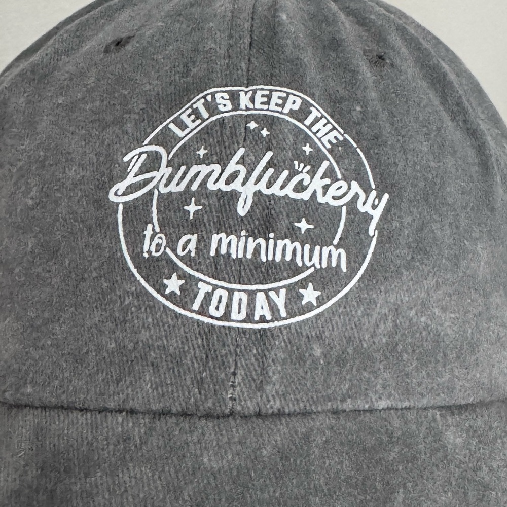 “Let’s Keep the DumbF To a Minimum Today” Funny Blue Gray Casual Cap - Picture 2 of 2